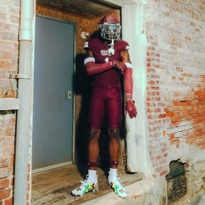 Double Arm Sleeves Maroon (1 Pair)